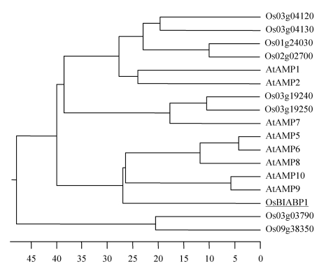 Fig.2