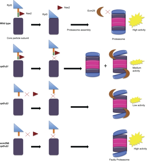 FIGURE 7.