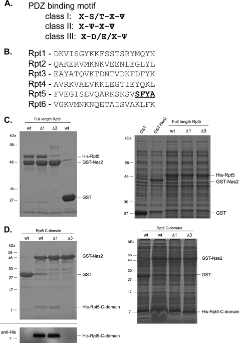 FIGURE 1.