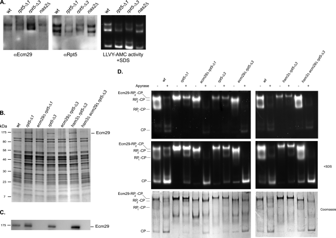 FIGURE 4.