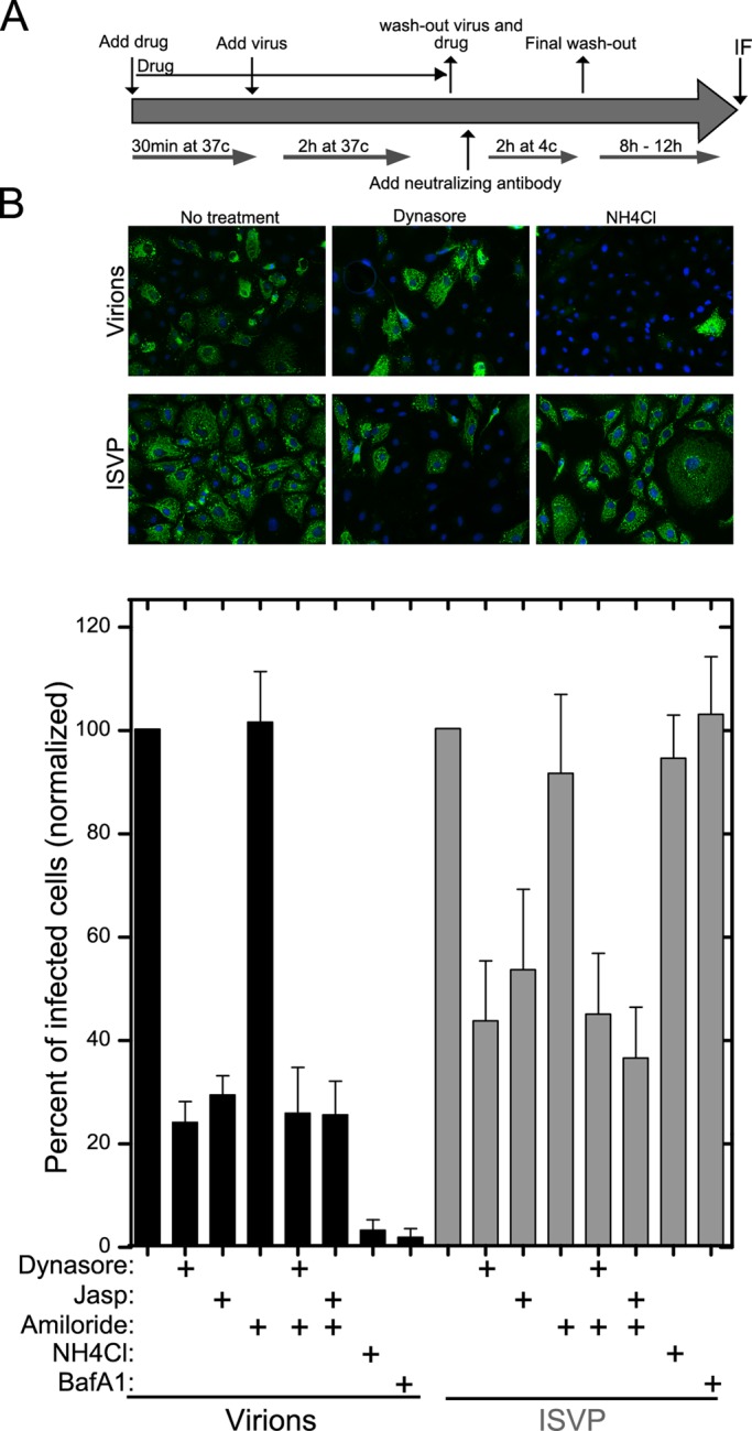 FIGURE 4: