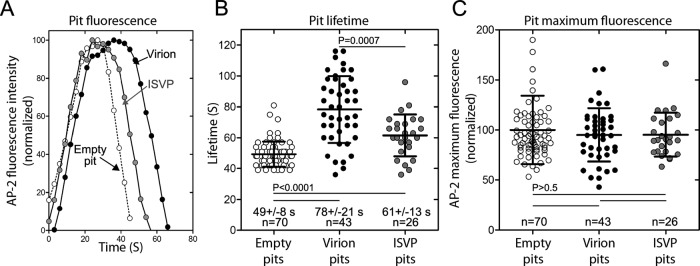 FIGURE 6: