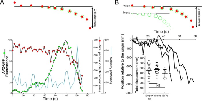 FIGURE 7: