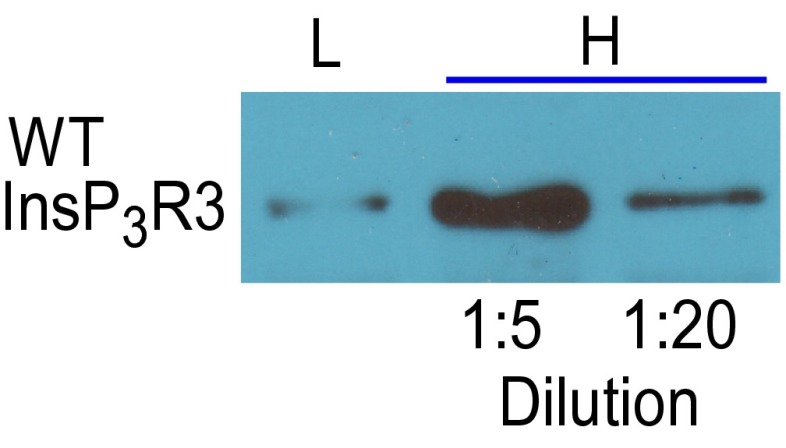 Fig. S5.