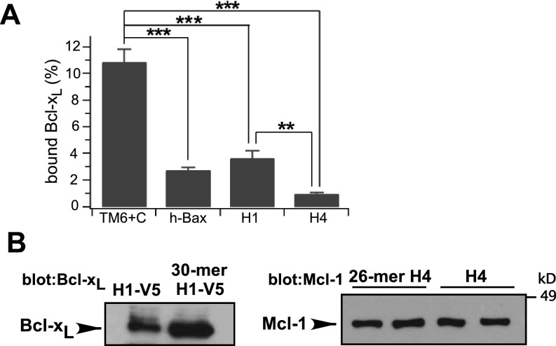 Fig. S1.