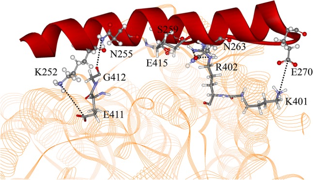 Figure 4