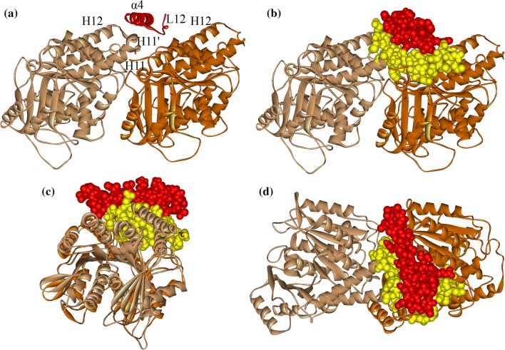 Figure 3