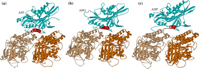 Figure 1