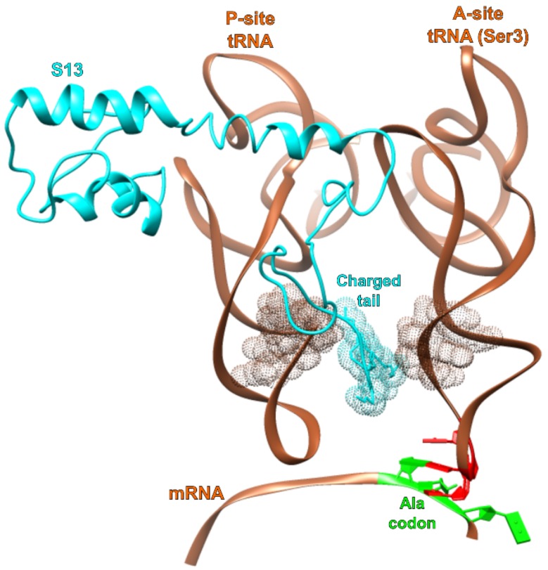 Figure 6