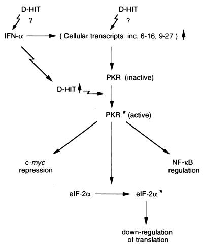 FIG. 7