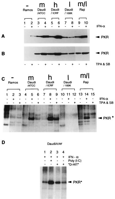 FIG. 5