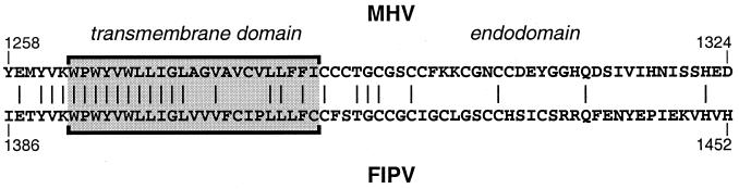 FIG. 9