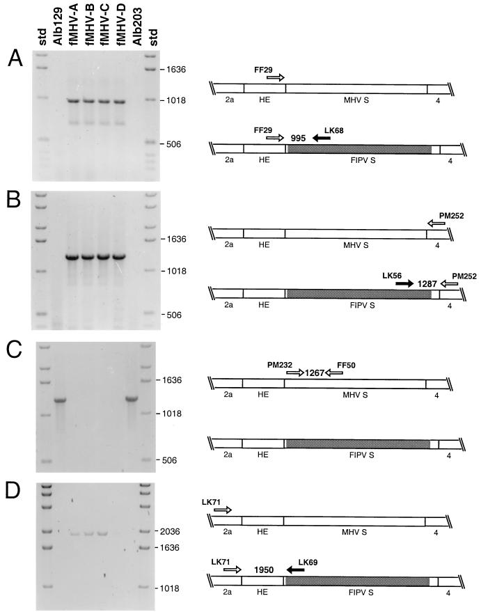 FIG. 4