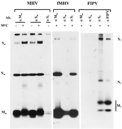 FIG. 7