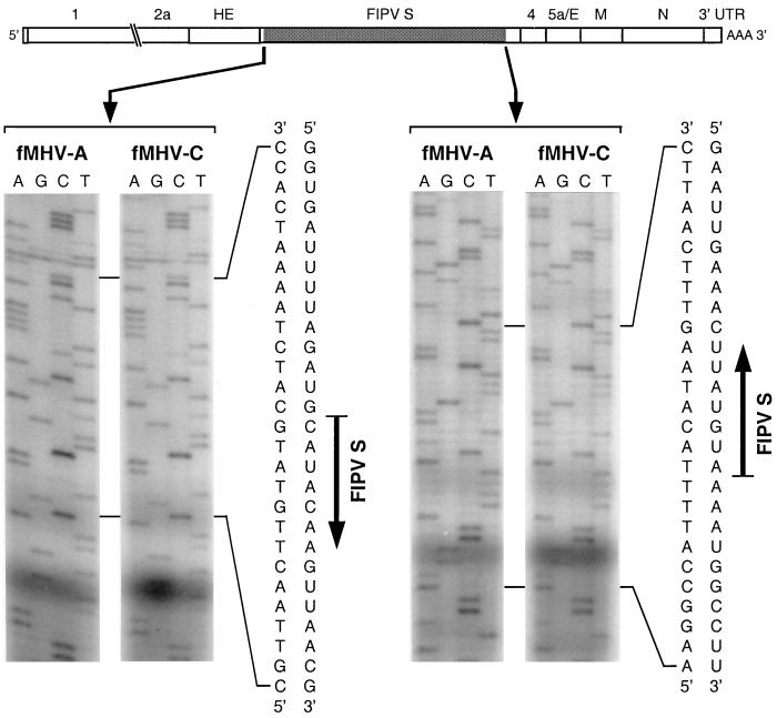 FIG. 5