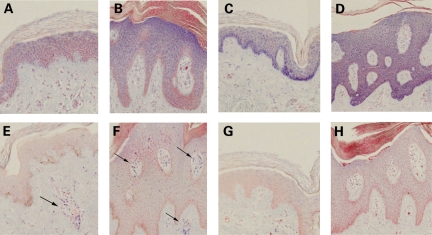 Figure 5.