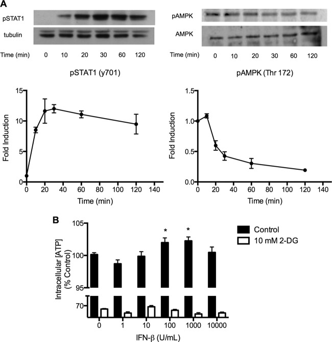 FIG 1