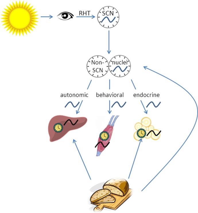 Fig. 1.