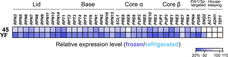 FIG 2