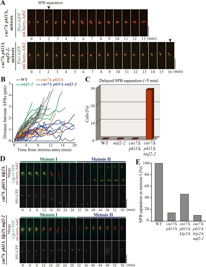 FIGURE 6: