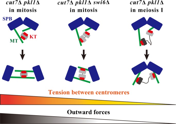 FIGURE 7: