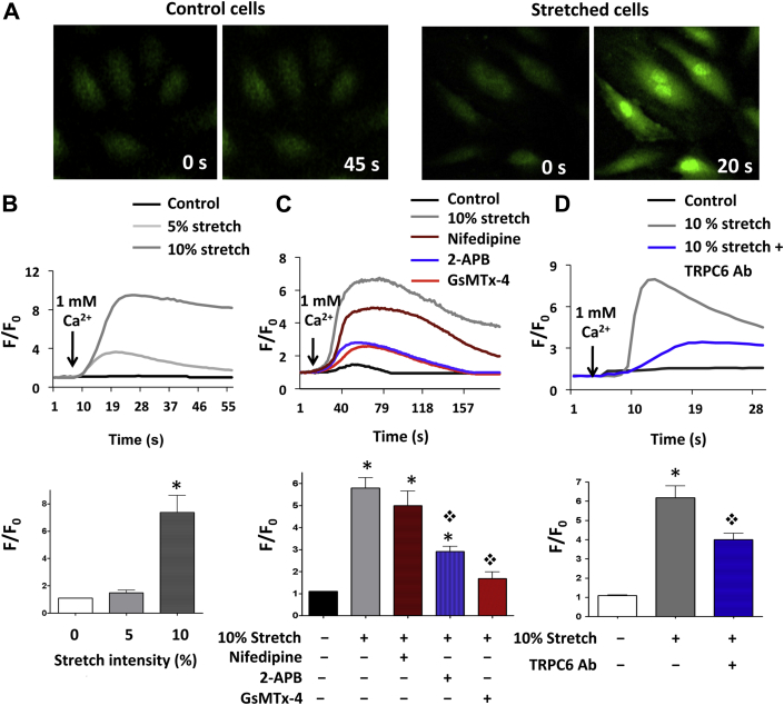 Figure 3