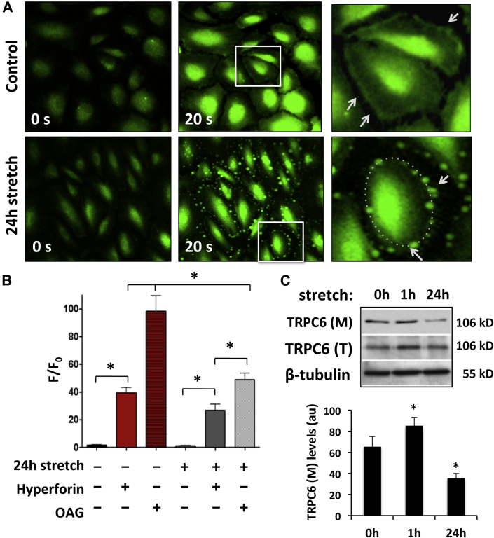 Figure 4