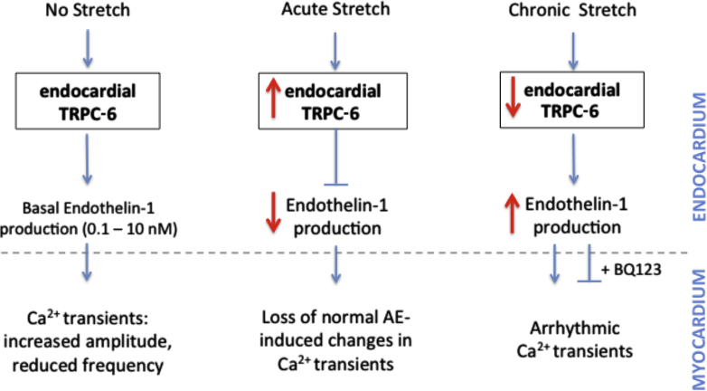 Figure 7