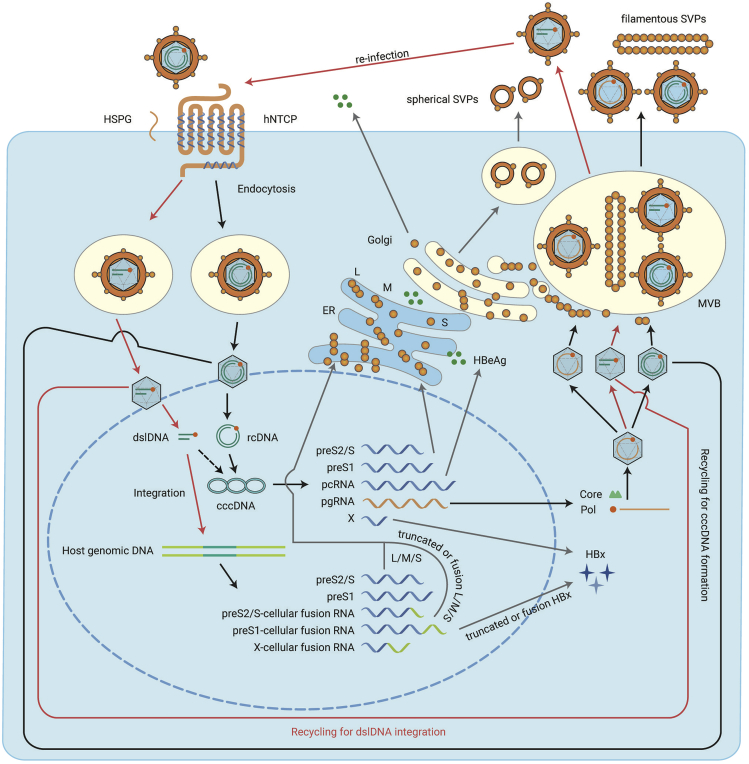 Figure 1