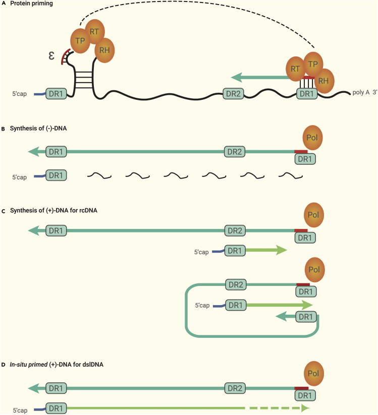 Figure 2