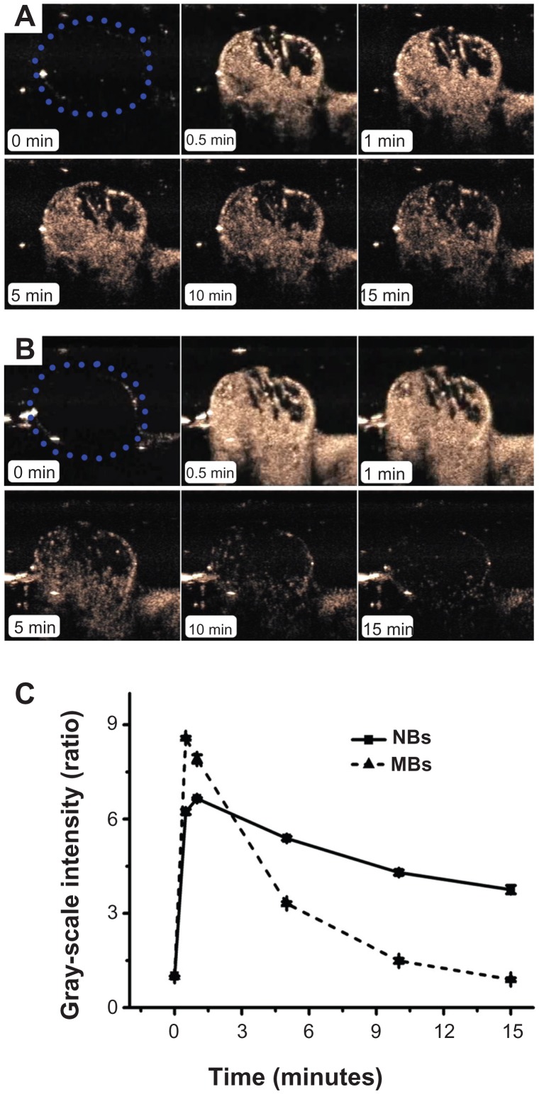 Figure 7