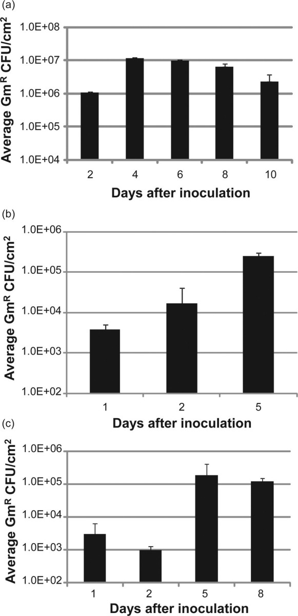 Figure 1