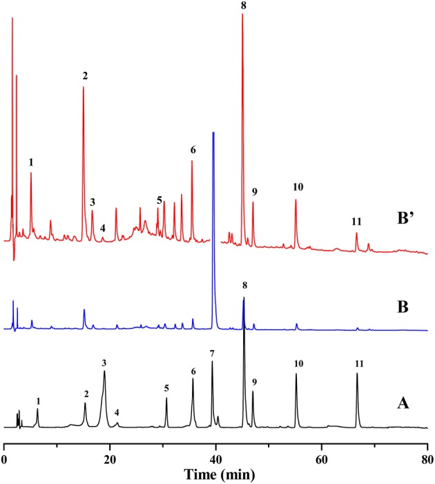 Figure 2.