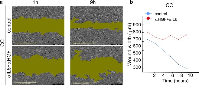 Fig. 9