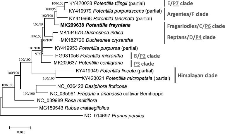 Figure 1.