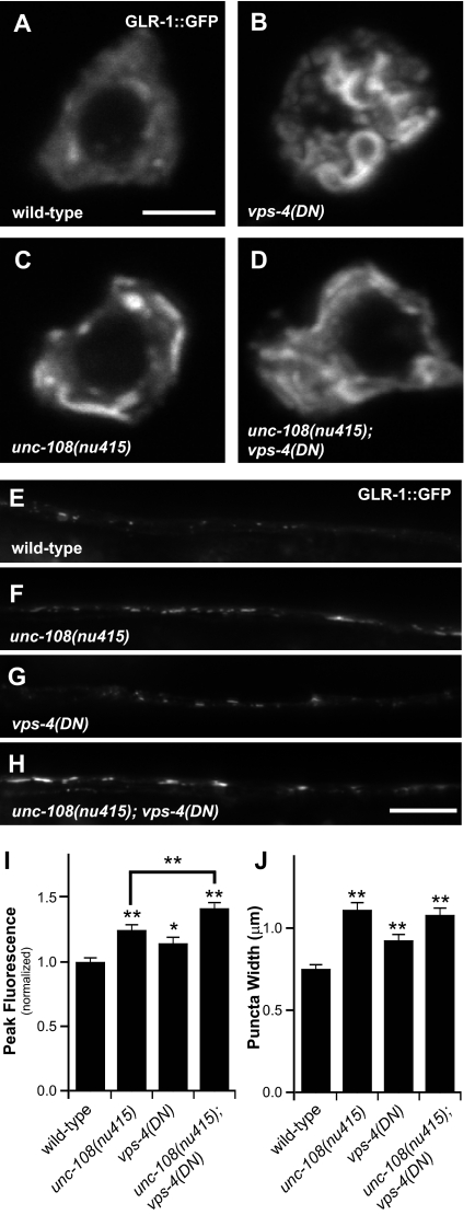 Figure 10.