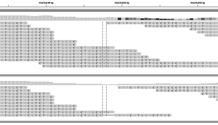 Figure 2B