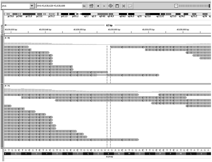 Figure 2A