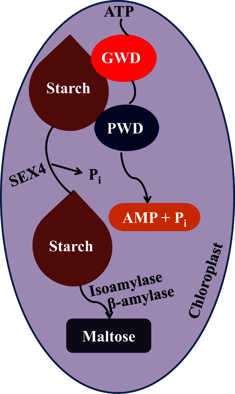 Fig. (3)