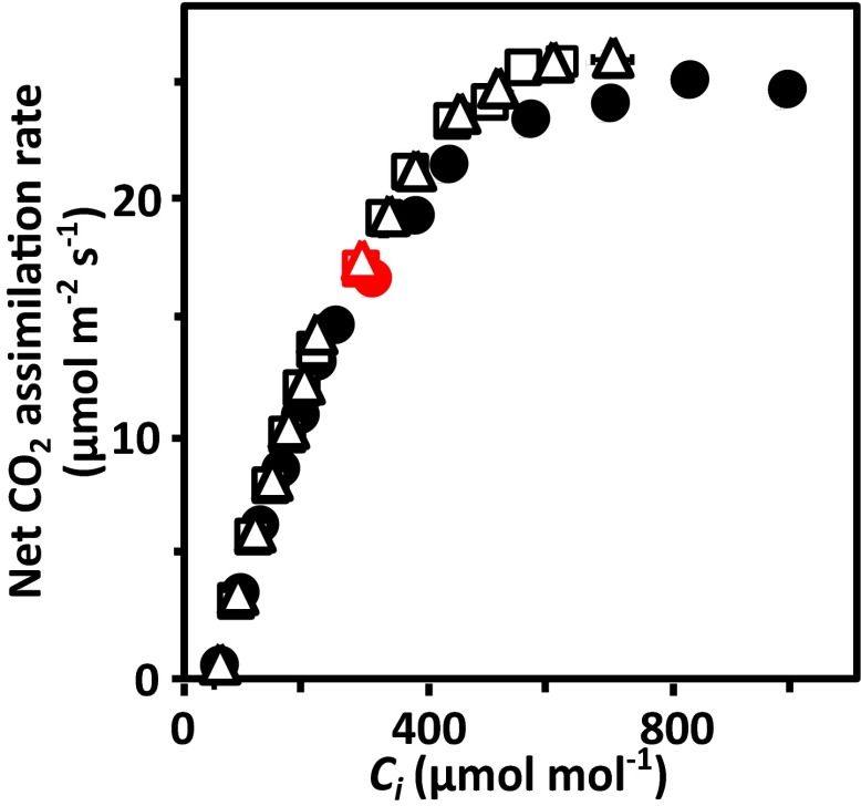 Fig. S5.