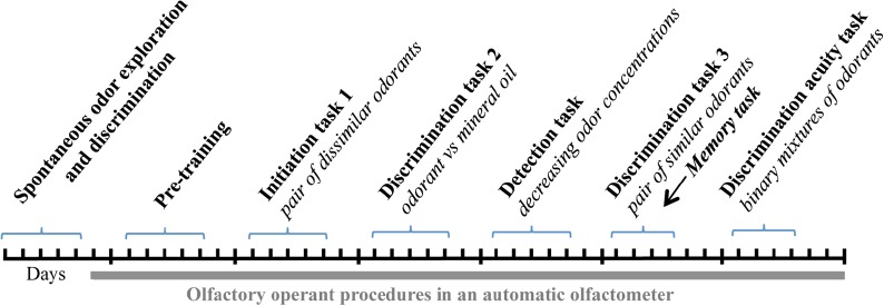 graphic file with name fnbeh-13-00061-i0001.jpg