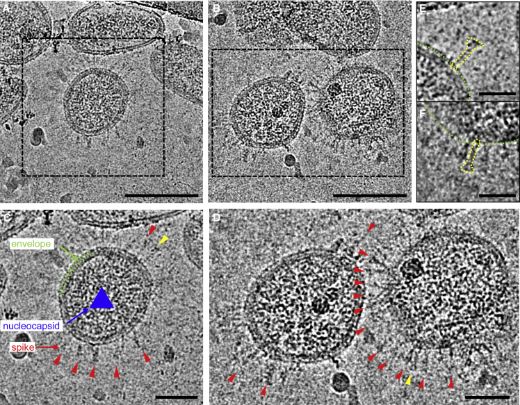 Figure 2