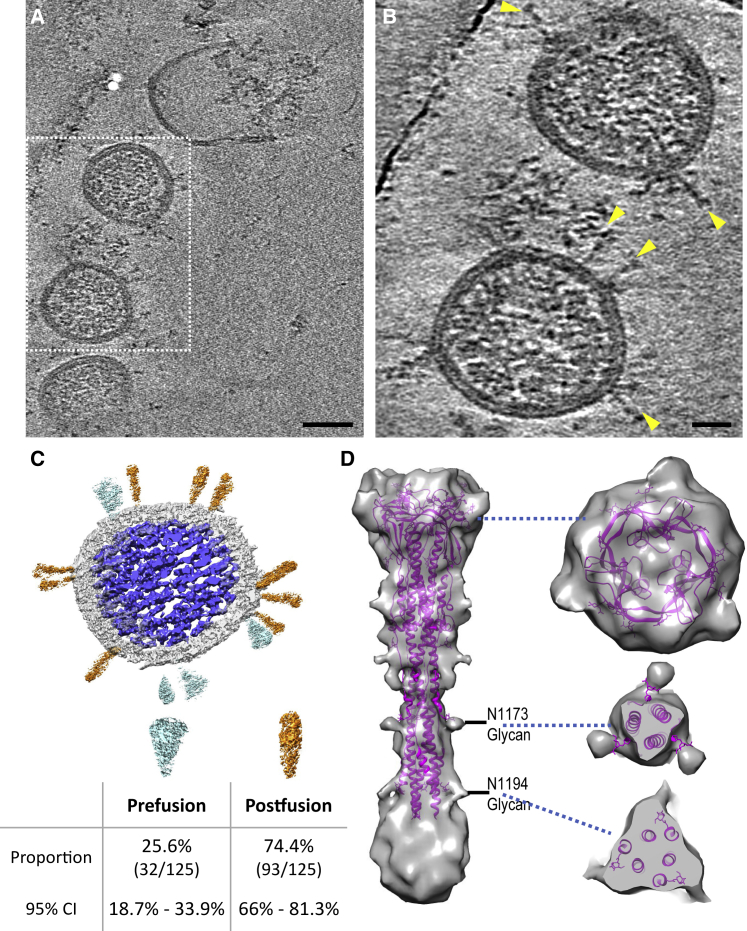 Figure 3