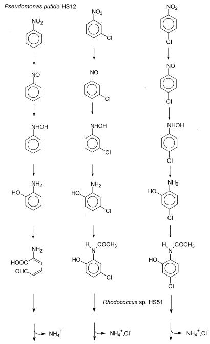 FIG. 7