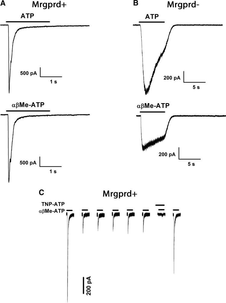 FIG. 6