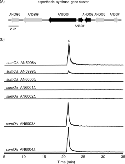 FIG. 3.