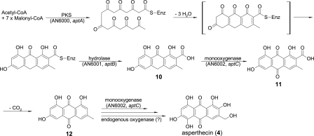 FIG. 4.