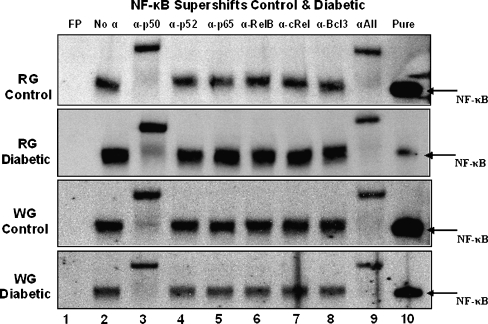 Fig. 5