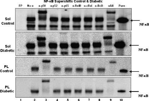 Fig. 6