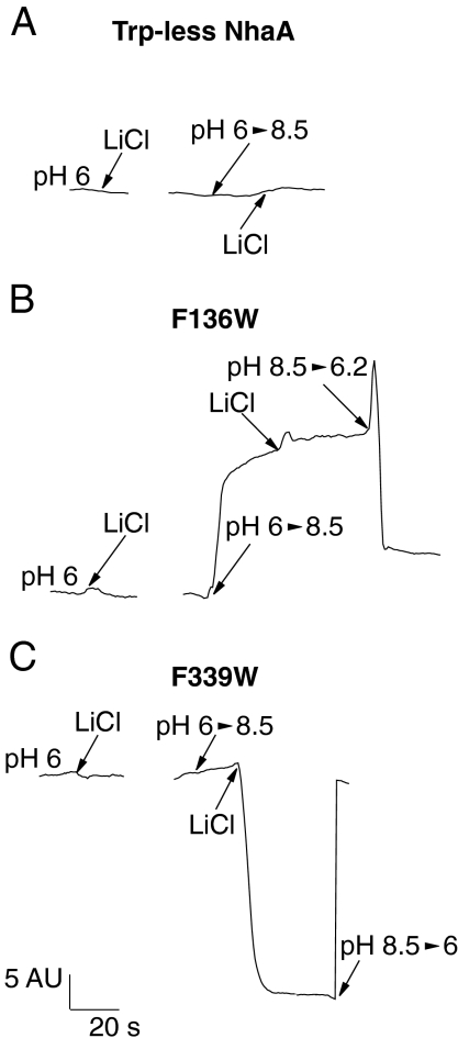 Fig. 3.